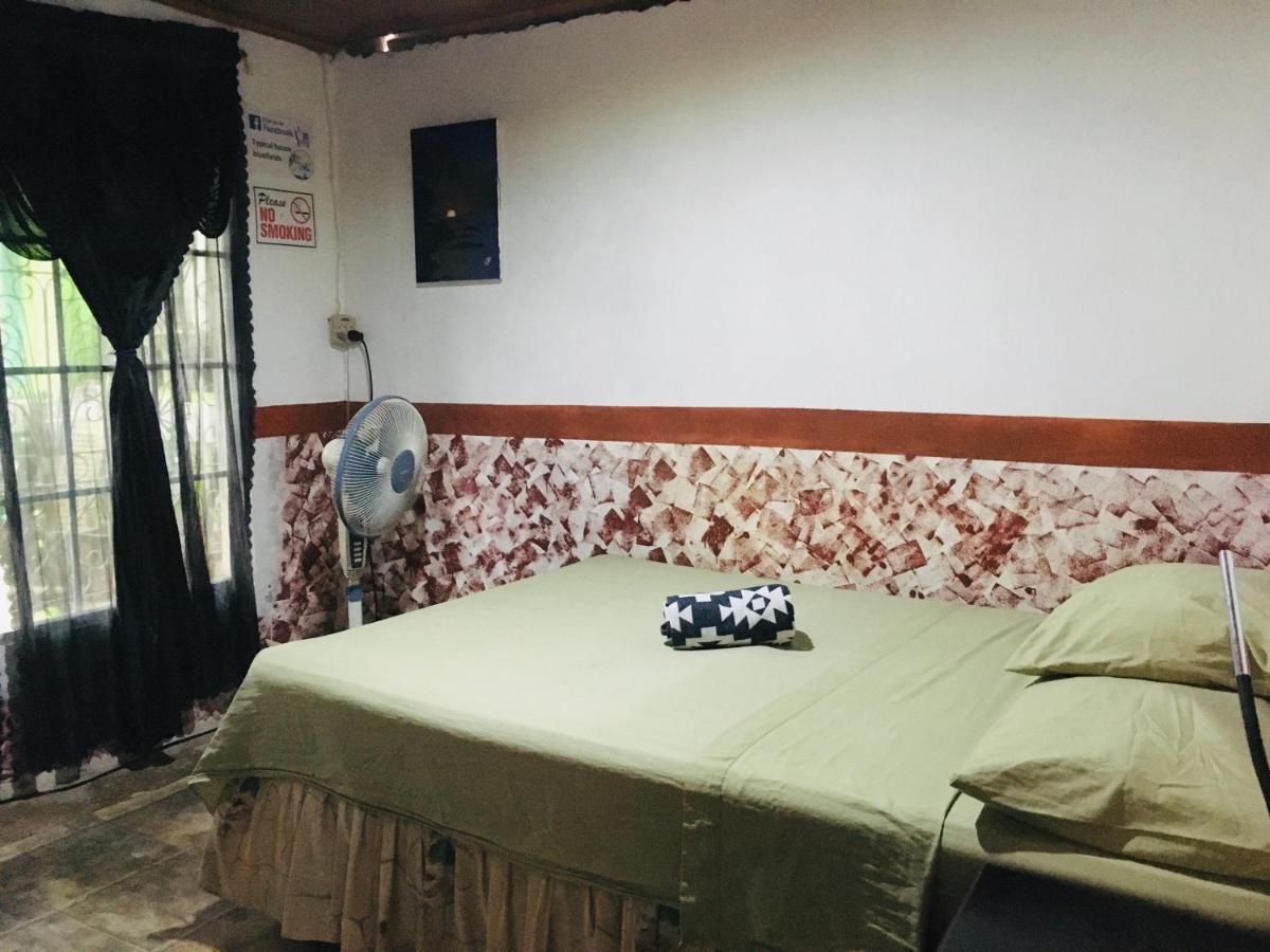 דירות Typical House Bluefields מראה חיצוני תמונה